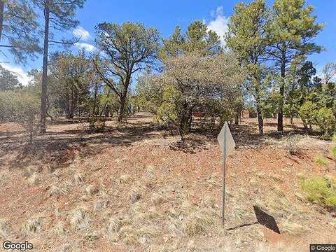 Cougar, OVERGAARD, AZ 85933