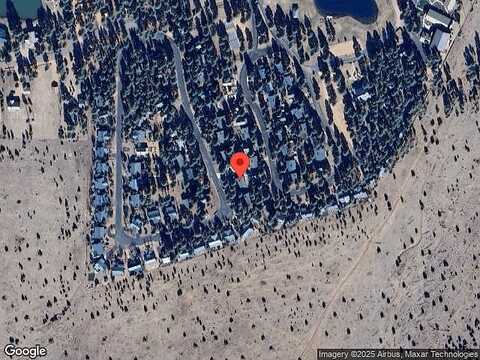Palomino, OVERGAARD, AZ 85933