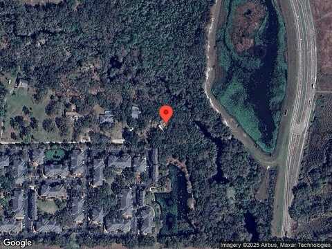 Bald Cypress, LUTZ, FL 33559