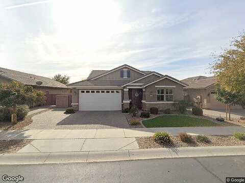 Canary, QUEEN CREEK, AZ 85142