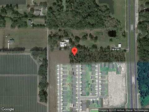 Lovely, PLANT CITY, FL 33566