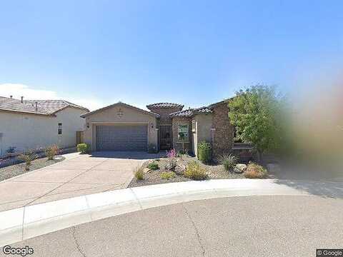 Molly, PHOENIX, AZ 85085