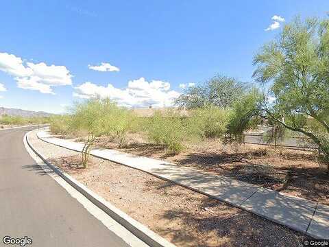Gold Nugget, GOLD CANYON, AZ 85118