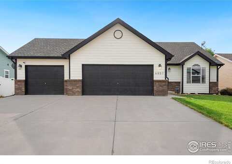 Mount Democrat, WELLINGTON, CO 80549