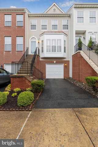 Desiree, ALEXANDRIA, VA 22315