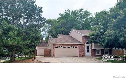 Dillon, FORT COLLINS, CO 80526