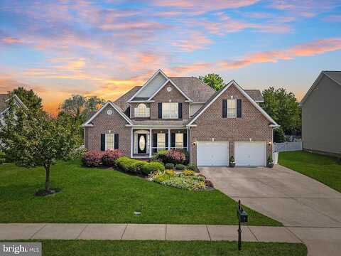 Darby, WINCHESTER, VA 22602