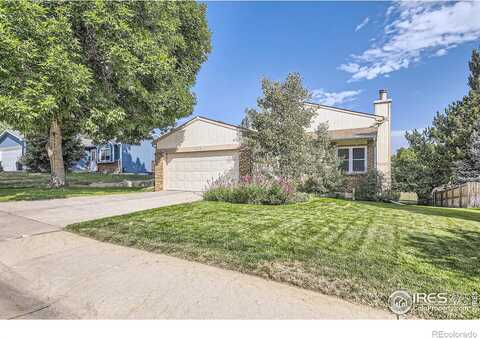 Kingsborough, FORT COLLINS, CO 80526