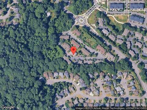 Pacific Yew, ISSAQUAH, WA 98027