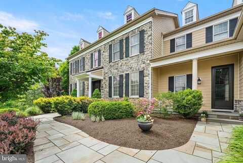 Pin Oak, CHADDS FORD, PA 19317
