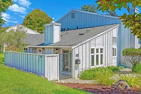 Dolphin, APTOS, CA 95003