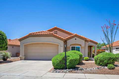 Forthcamp, ORO VALLEY, AZ 85755