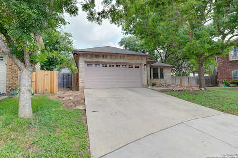 Possum, SAN ANTONIO, TX 78232