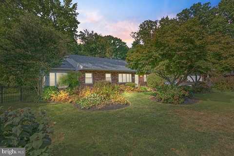 Stoney, BENSALEM, PA 19020