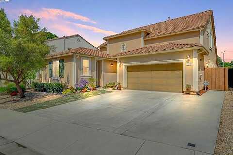 Blumen, BRENTWOOD, CA 94513