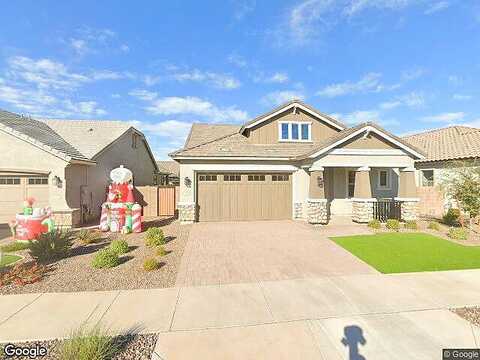 Canary, QUEEN CREEK, AZ 85142