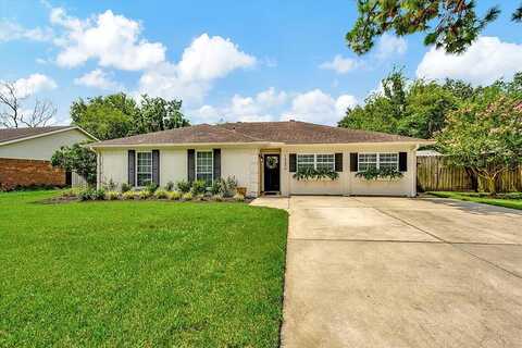 Hibiscus, FRIENDSWOOD, TX 77546