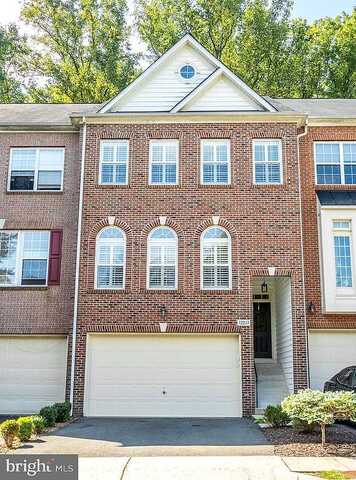 Stockton Tees, FAIRFAX, VA 22030
