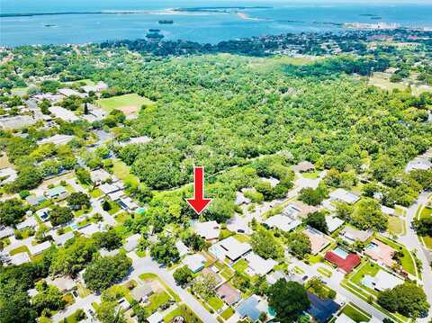 Mclean, DUNEDIN, FL 34698