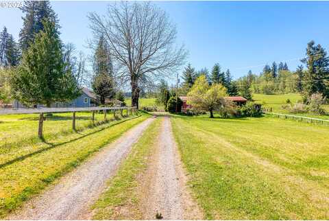 Apiary, RAINIER, OR 97048