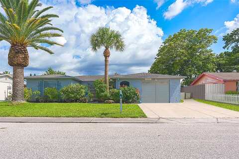 Castanea, PORT RICHEY, FL 34668