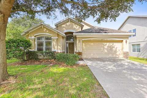 Chesney, VALRICO, FL 33594