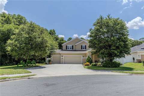 Gordonia, DELAND, FL 32724