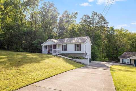 Woodchuck, RINGGOLD, GA 30736