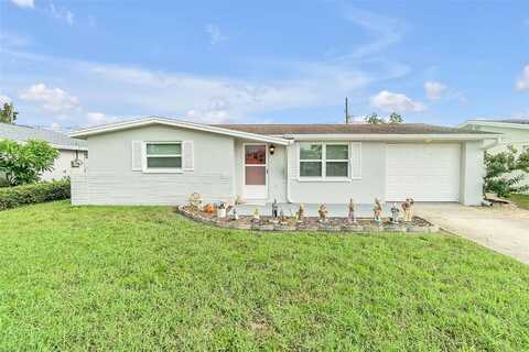 Mosaic, HOLIDAY, FL 34690
