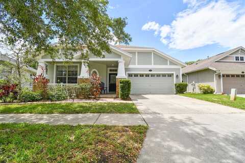 Sky Blue, LUTZ, FL 33558