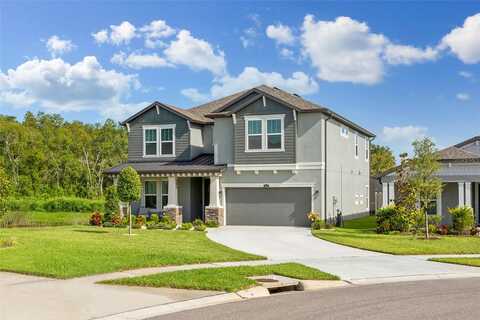 Jackson Club, TAMPA, FL 33624