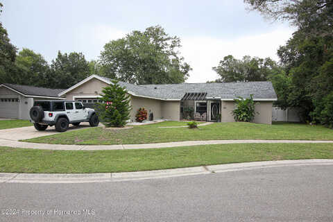 Freshwind, TAMPA, FL 33624