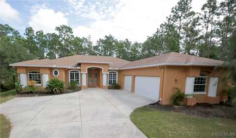 Saddletree, BEVERLY HILLS, FL 34465