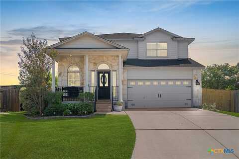 Kinglet, NEW BRAUNFELS, TX 78130