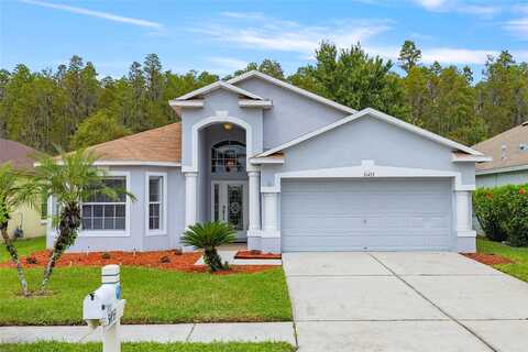Chatterly, WESLEY CHAPEL, FL 33543