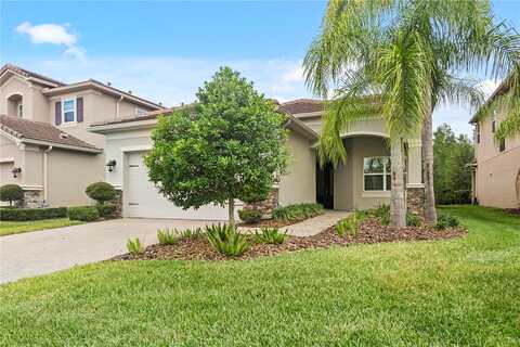 Lindentree, WESLEY CHAPEL, FL 33543