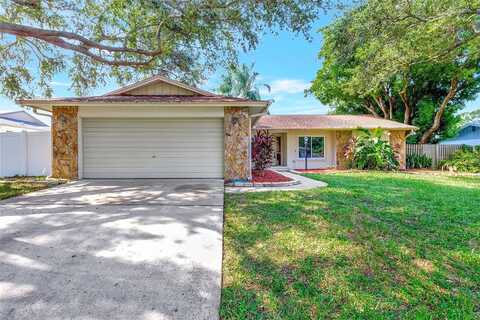 Indigo, DUNEDIN, FL 34698