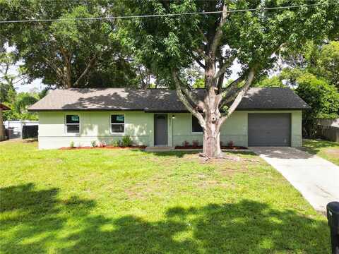 Pecan, ORANGE CITY, FL 32763