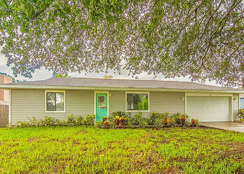 Chicory, PALM BAY, FL 32907