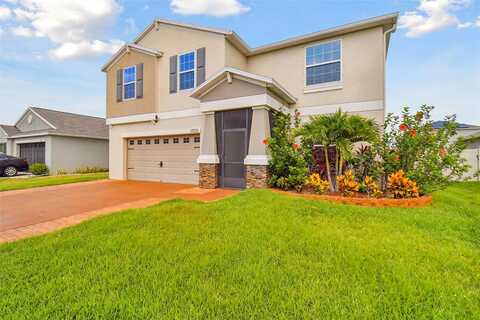 Sunshine Mimosa, WIMAUMA, FL 33598