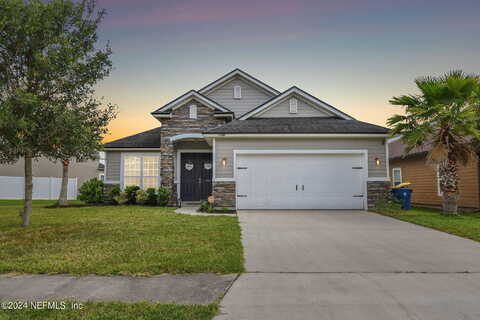 Paso Fino, JACKSONVILLE, FL 32218