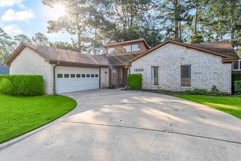 Rainforest, MONTGOMERY, TX 77356