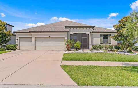 Iris Spring, RIVERVIEW, FL 33579