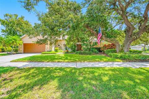 Bramblewood, SAFETY HARBOR, FL 34695