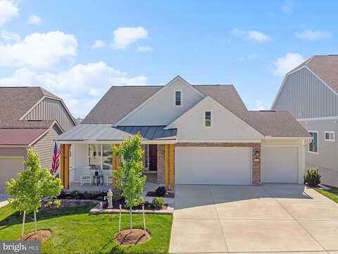 Viceroy, LAKE FREDERICK, VA 22630