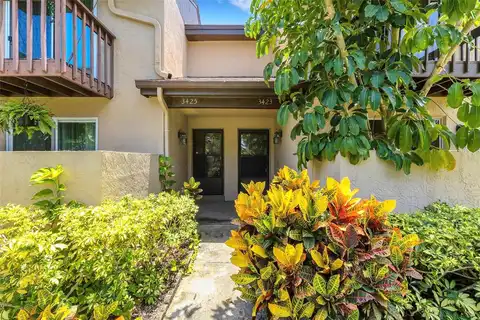 Pine Cone, CLEARWATER, FL 33760