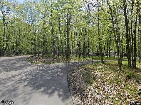 Maple Tree, RHINELANDER, WI 54501