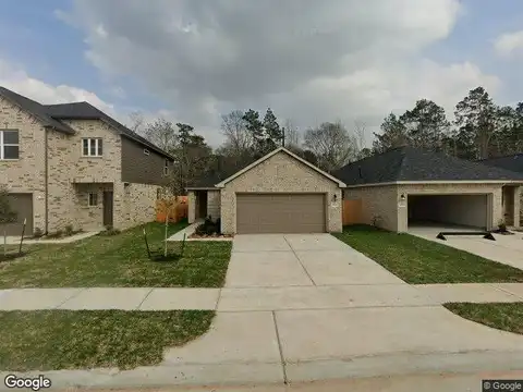 Grey Fox, MAGNOLIA, TX 77354