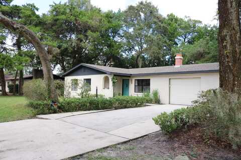Orchis, SAINT AUGUSTINE, FL 32086