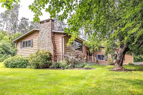 Alder, BLACK RIVER FALLS, WI 54615